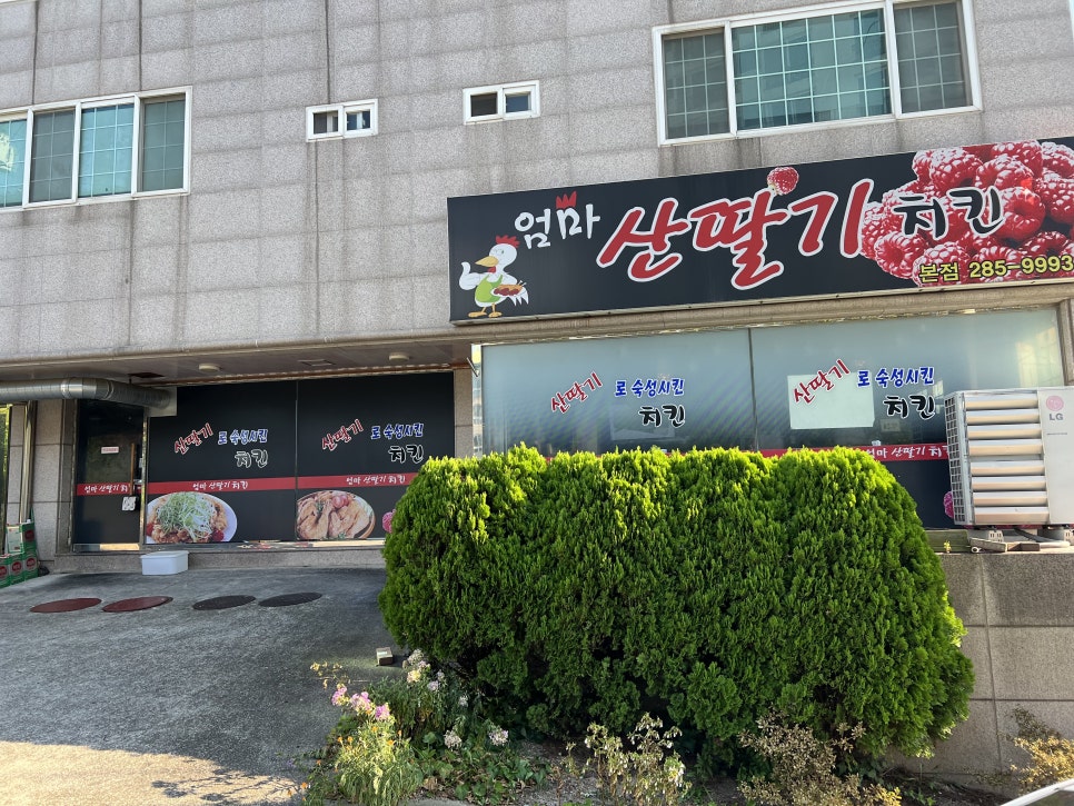 엄마산딸기치킨 이미지