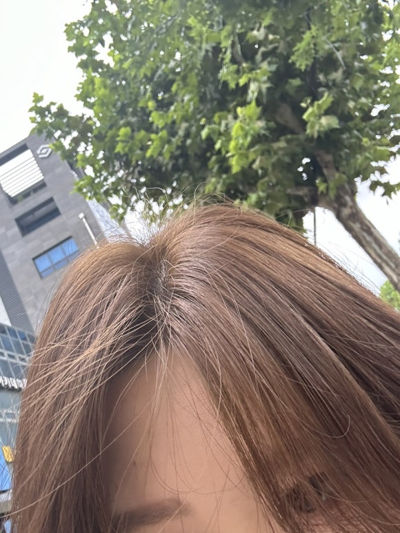 올오브 이미지