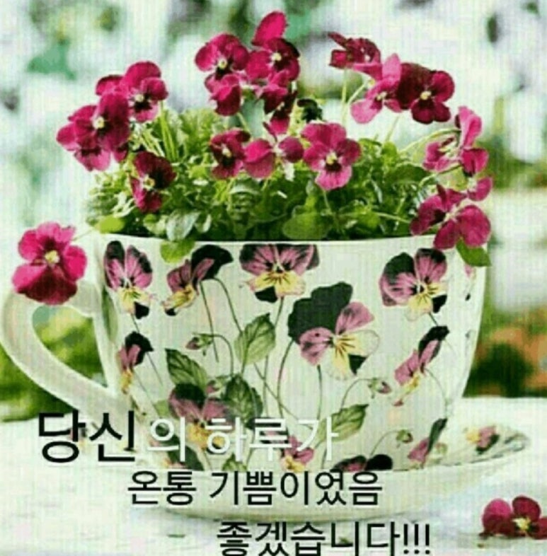 인생타코 이미지