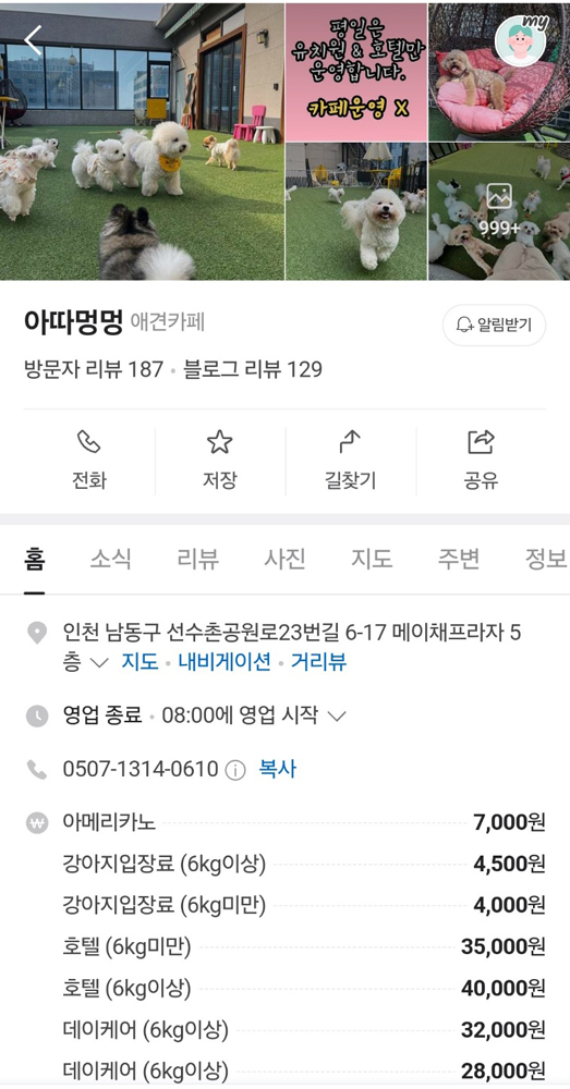아따멍멍 이미지