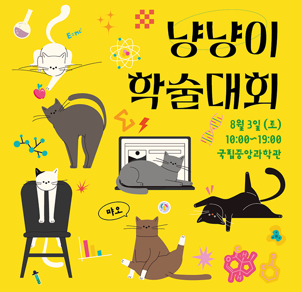 서울인마이백 이미지