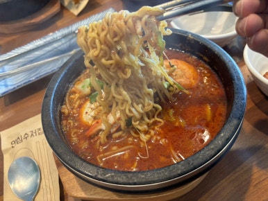 돌담넘는고양이 사진 8
