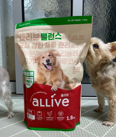 자매체형관리 이미지