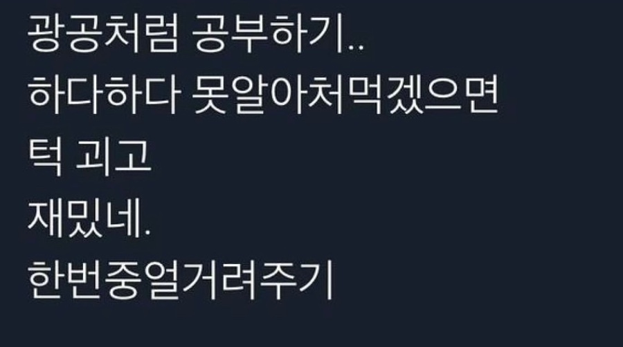 하이하이 이미지