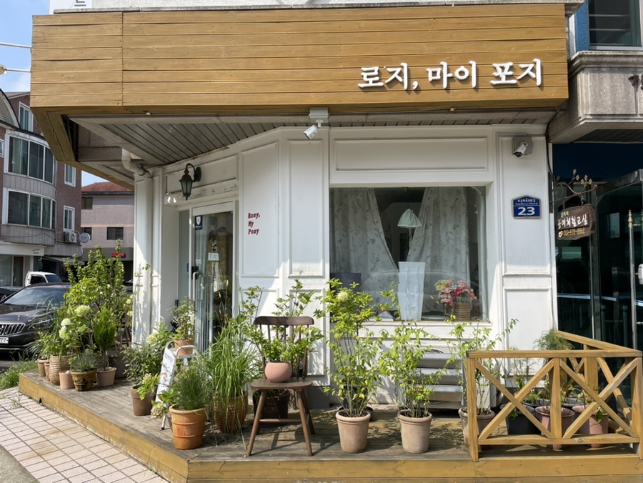 로지마이포지 이미지