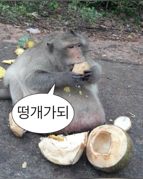 피부이야기 이미지