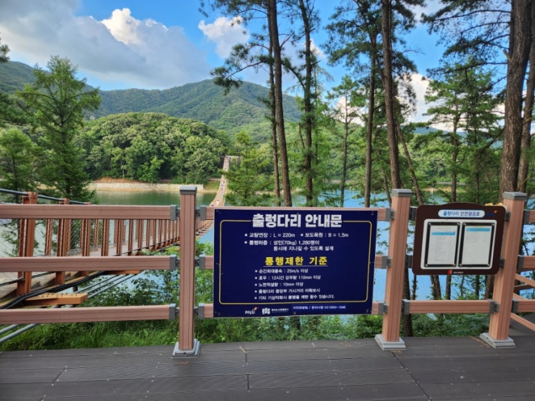 코코코다리 이미지