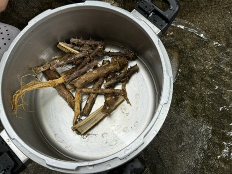 상선암의향기펜션 이미지