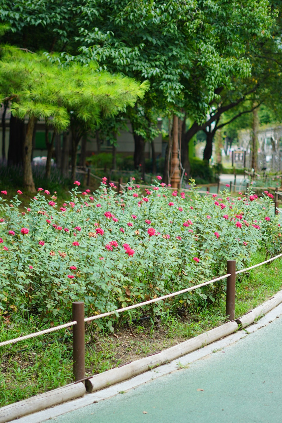 이곡생수공원 이미지