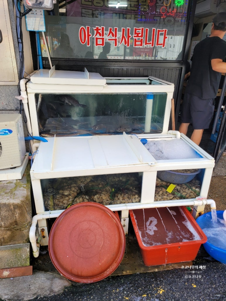 선미수산식당 이미지