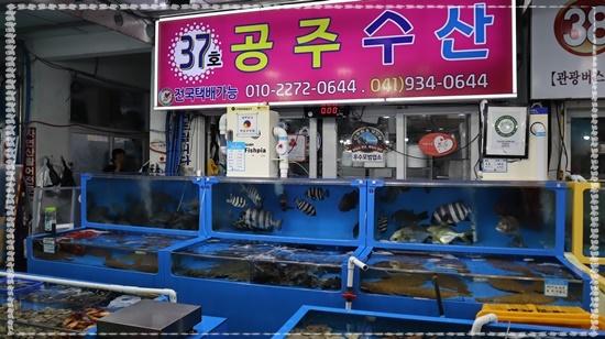 공주회수산 이미지
