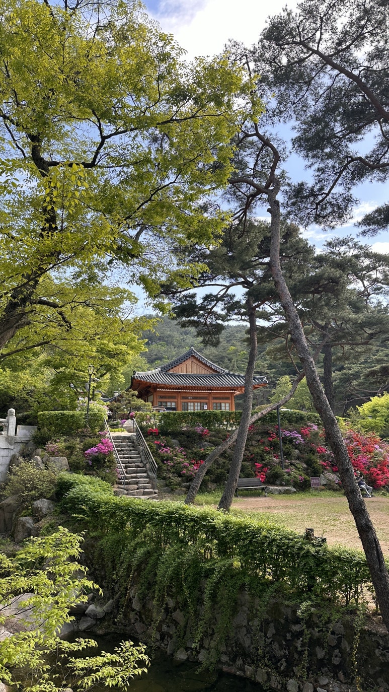 예보니네일 이미지