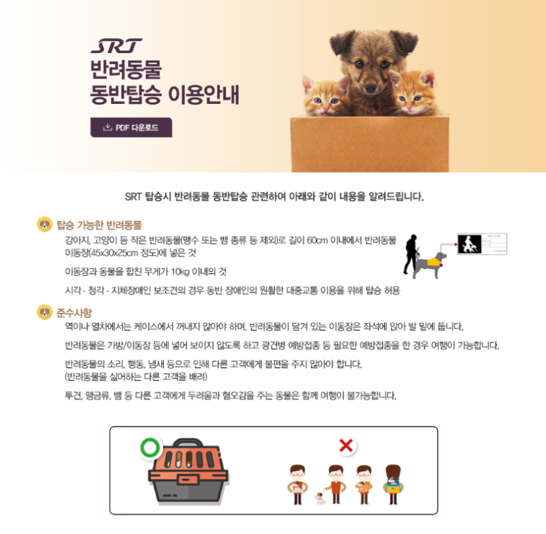 신도담 이미지