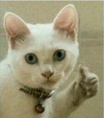 뮤즈피아노 이미지