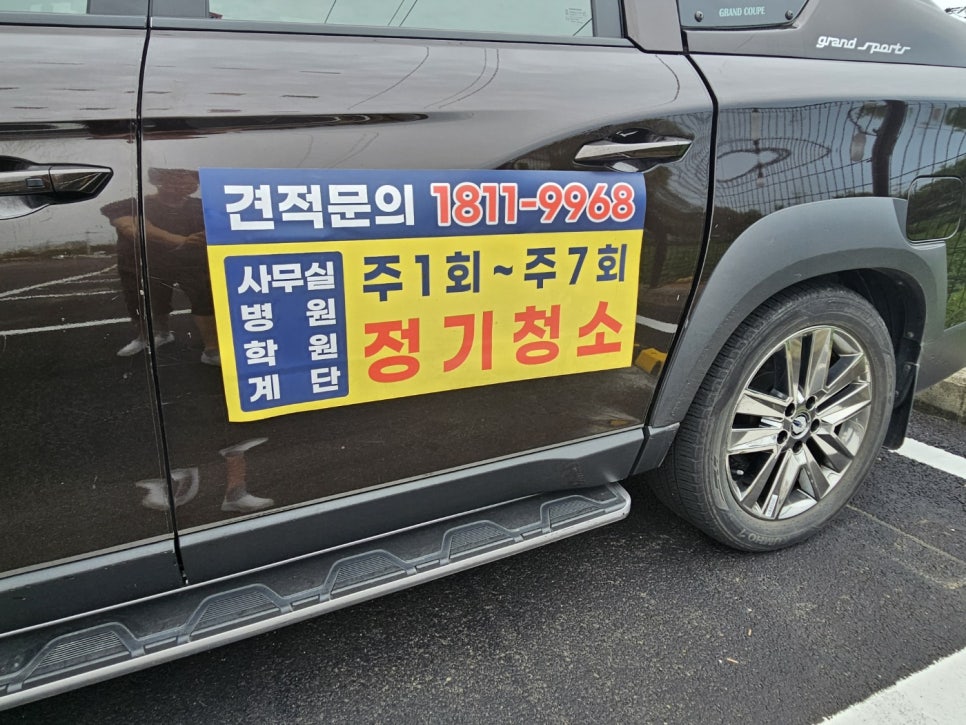 돌핀크린 이미지