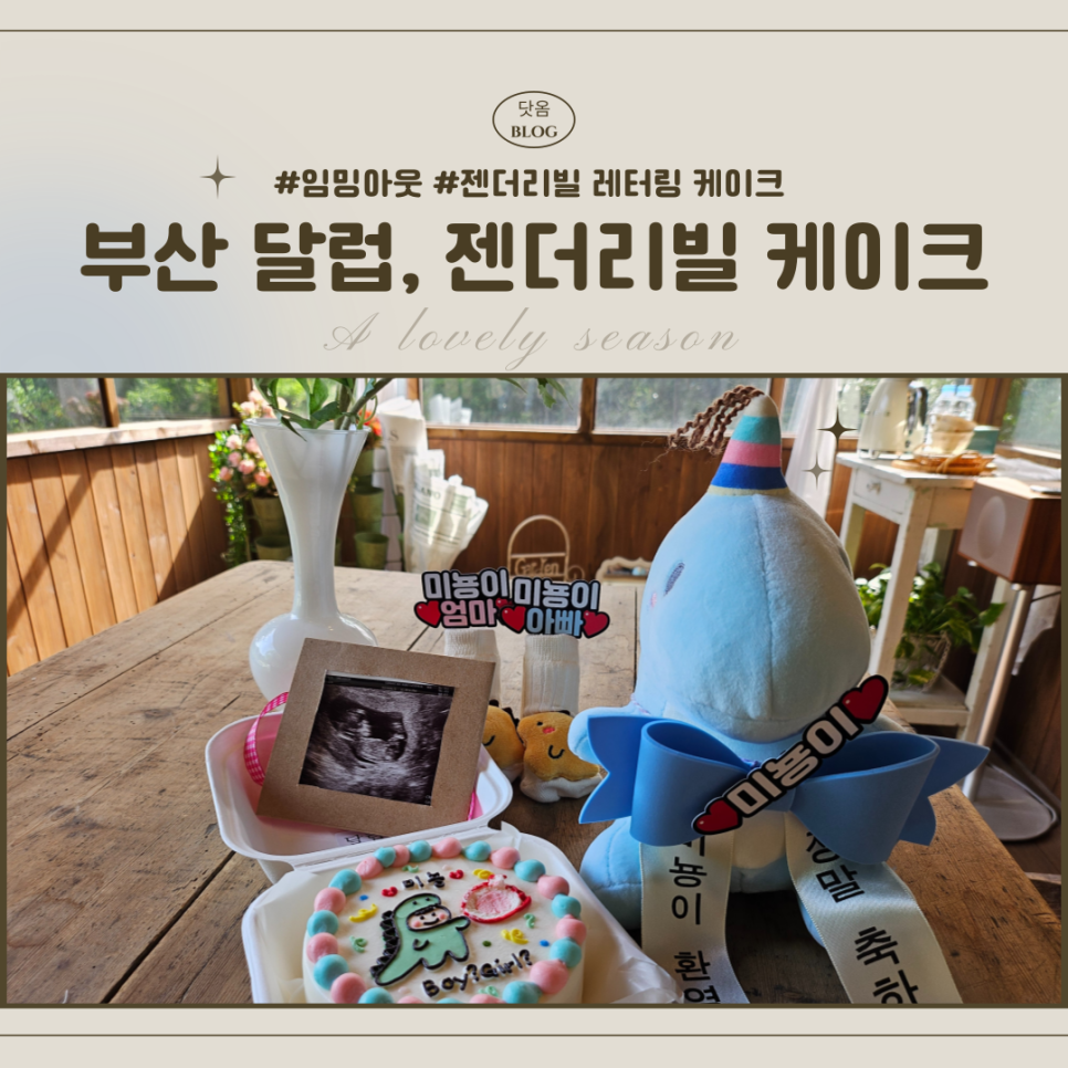달럽 이미지