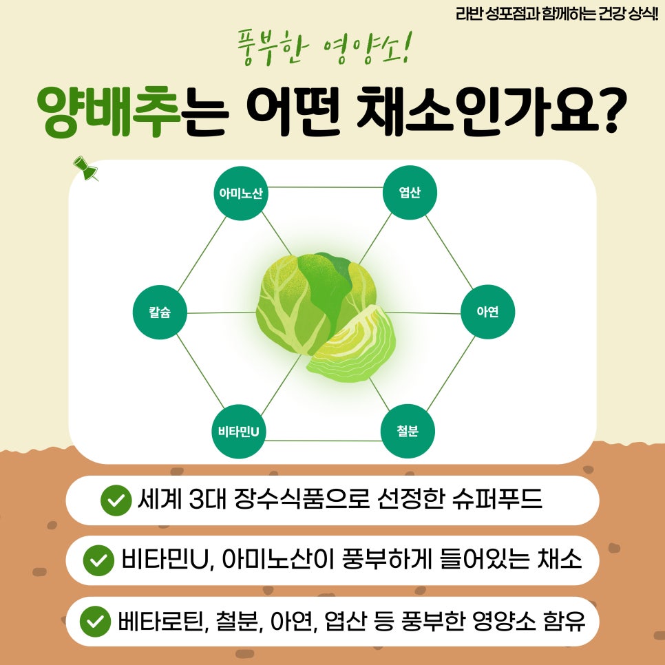 라반휘트니스 이미지