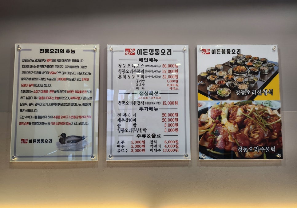 이든청둥오리 이미지