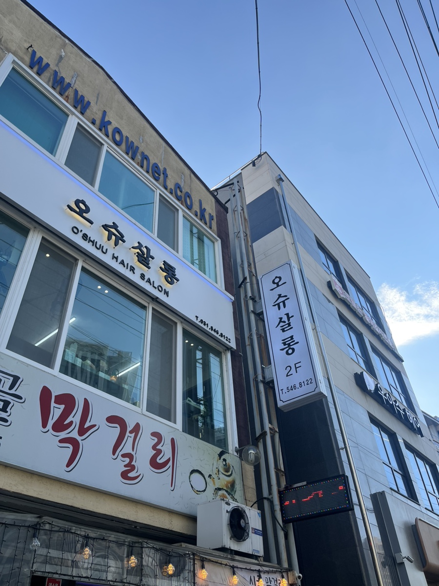 오슈살롱 이미지