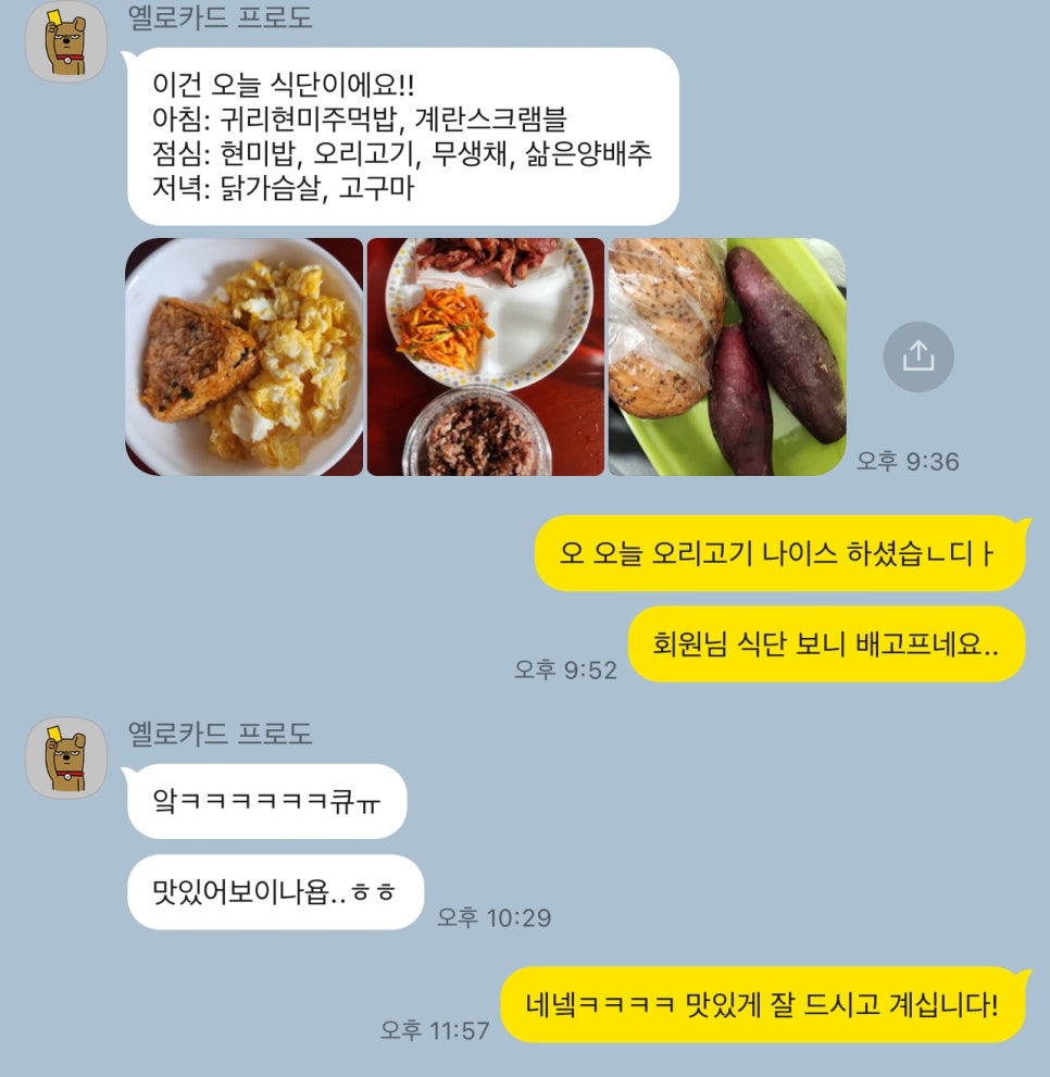 고에이프 이미지