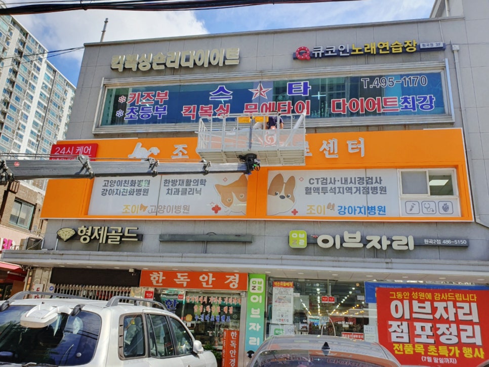 영인실사 이미지