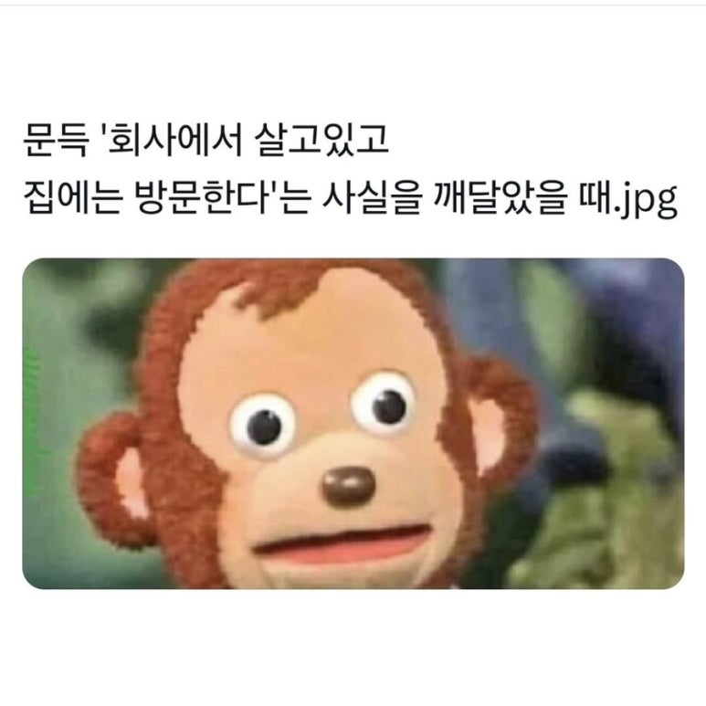 빵사랑 이미지
