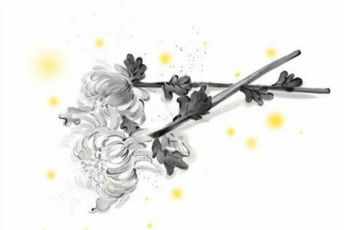 주식회사 삼산고속관광 이미지