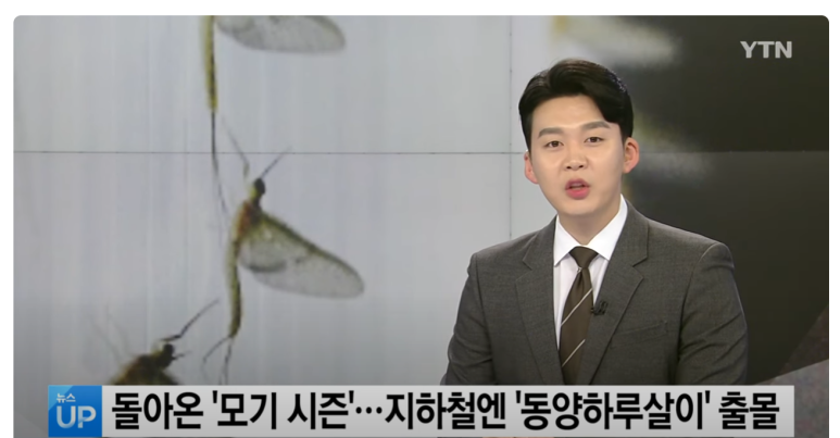 오케이방충망 이미지