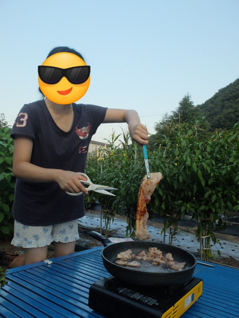 백구야놀자 이미지