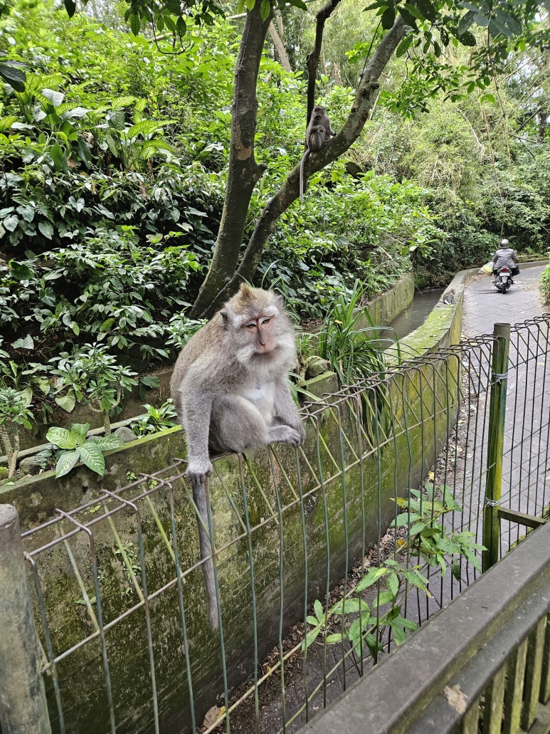 (주)파드마 이미지