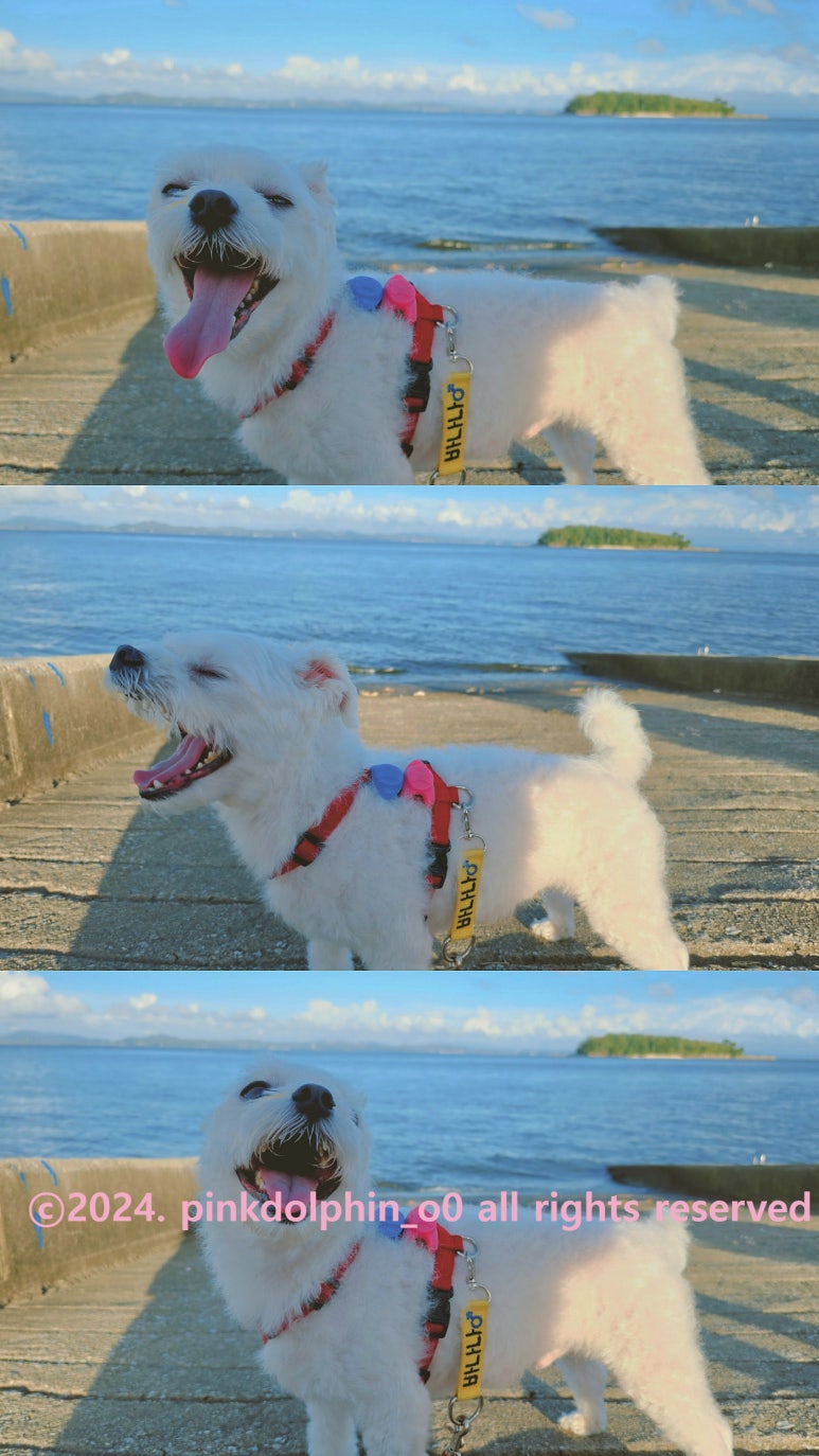 뜰앞바다 이미지