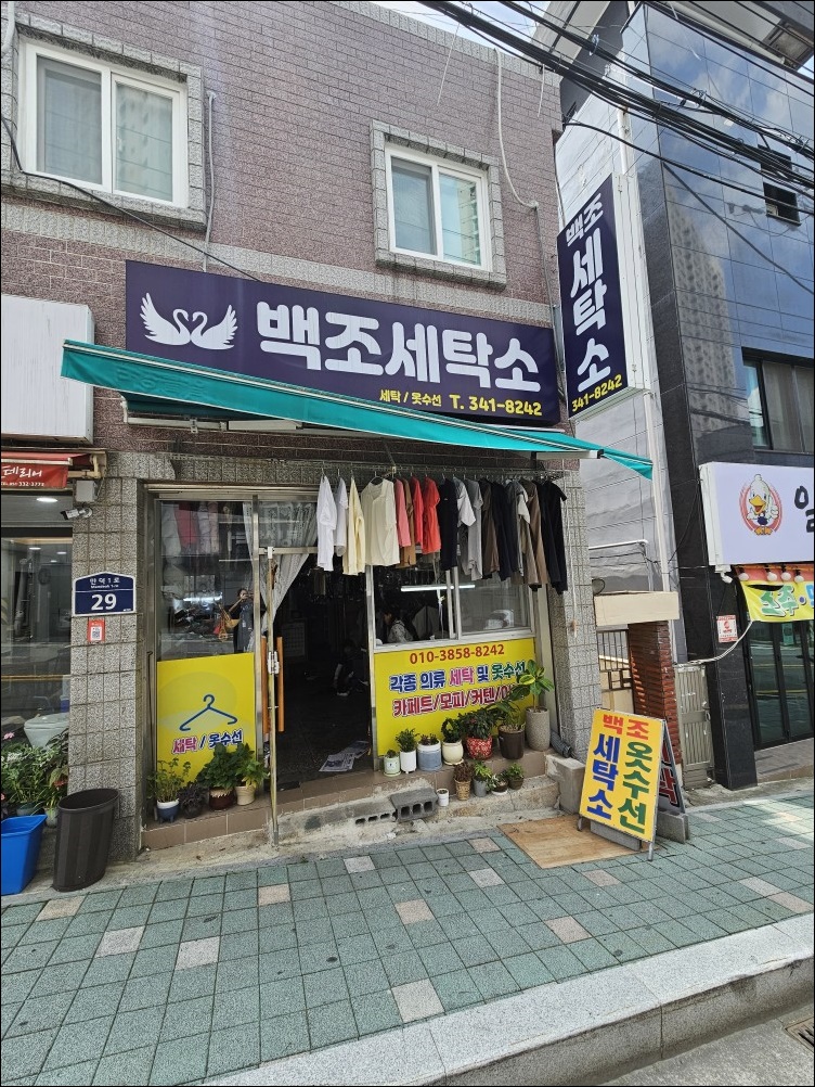 백조세탁소 이미지