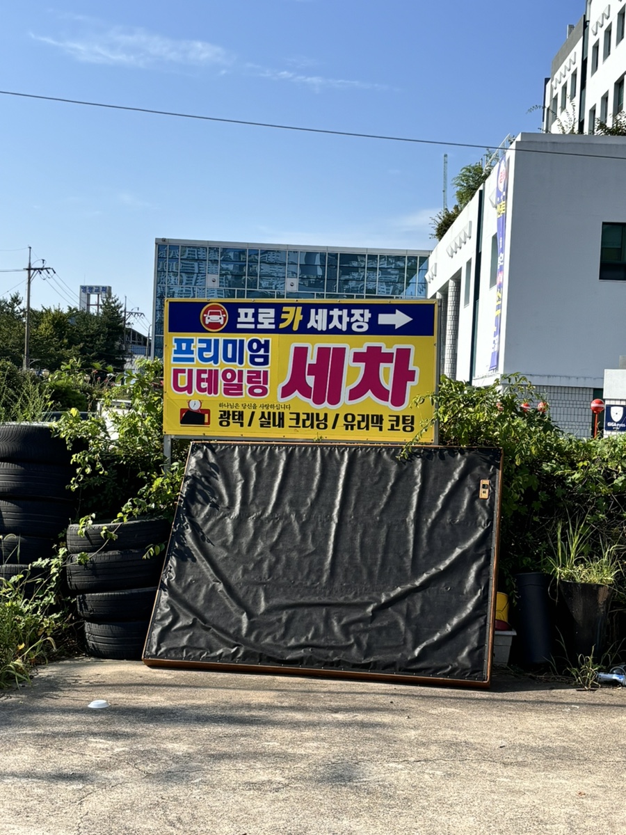 프로카모터스 이미지