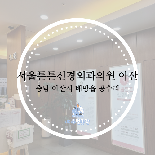 서울튼튼신경외과 이미지