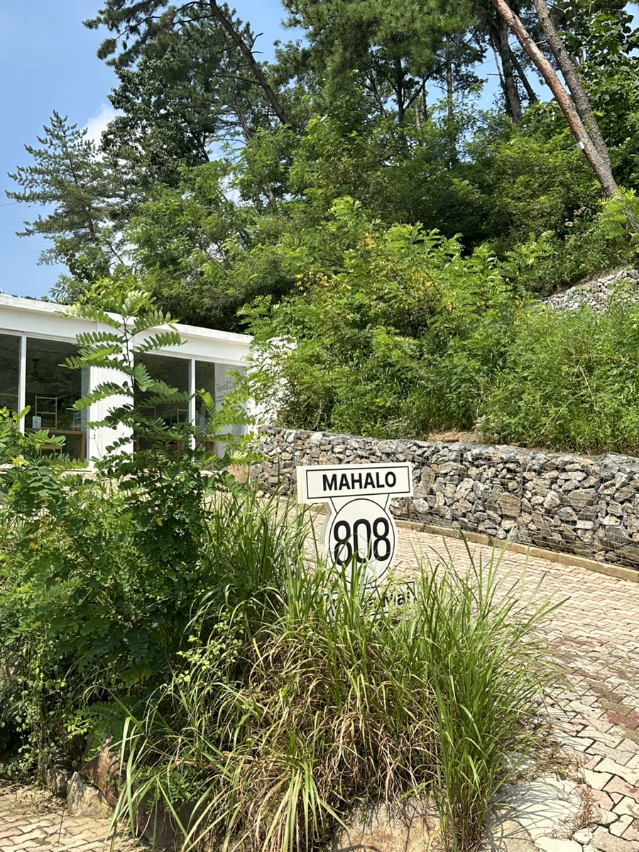 마할로마켓 이미지