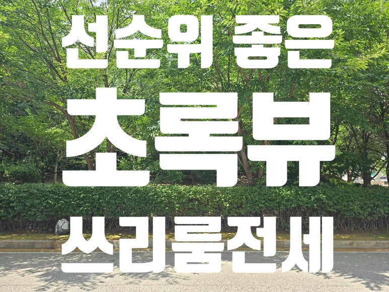 행정리 2-6 이미지
