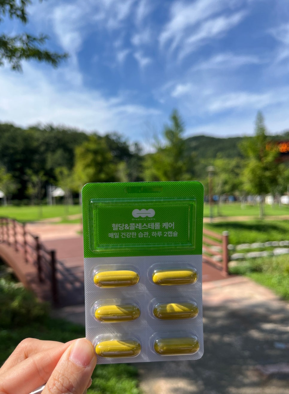 그리너리 테이블 이미지