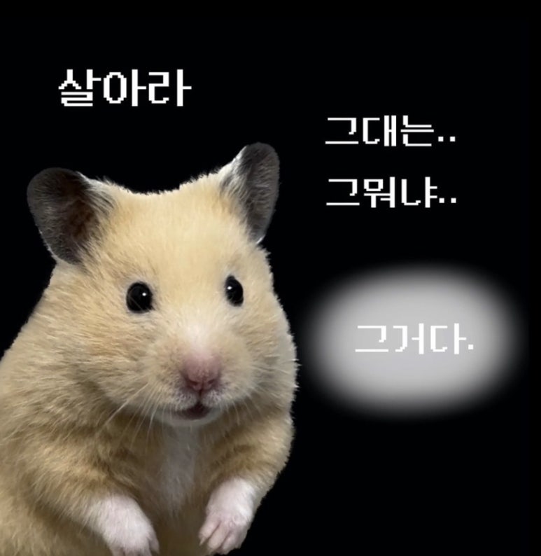 국밥장인 이미지