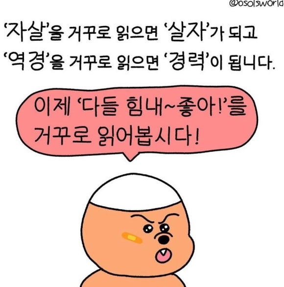 원주감자탕 이미지
