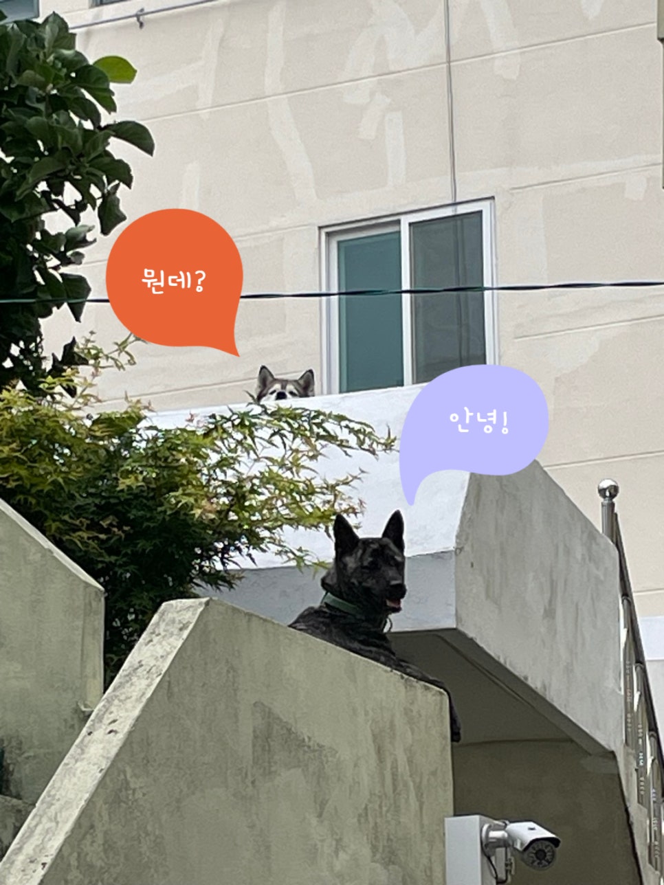 건축사사무소바다 이미지