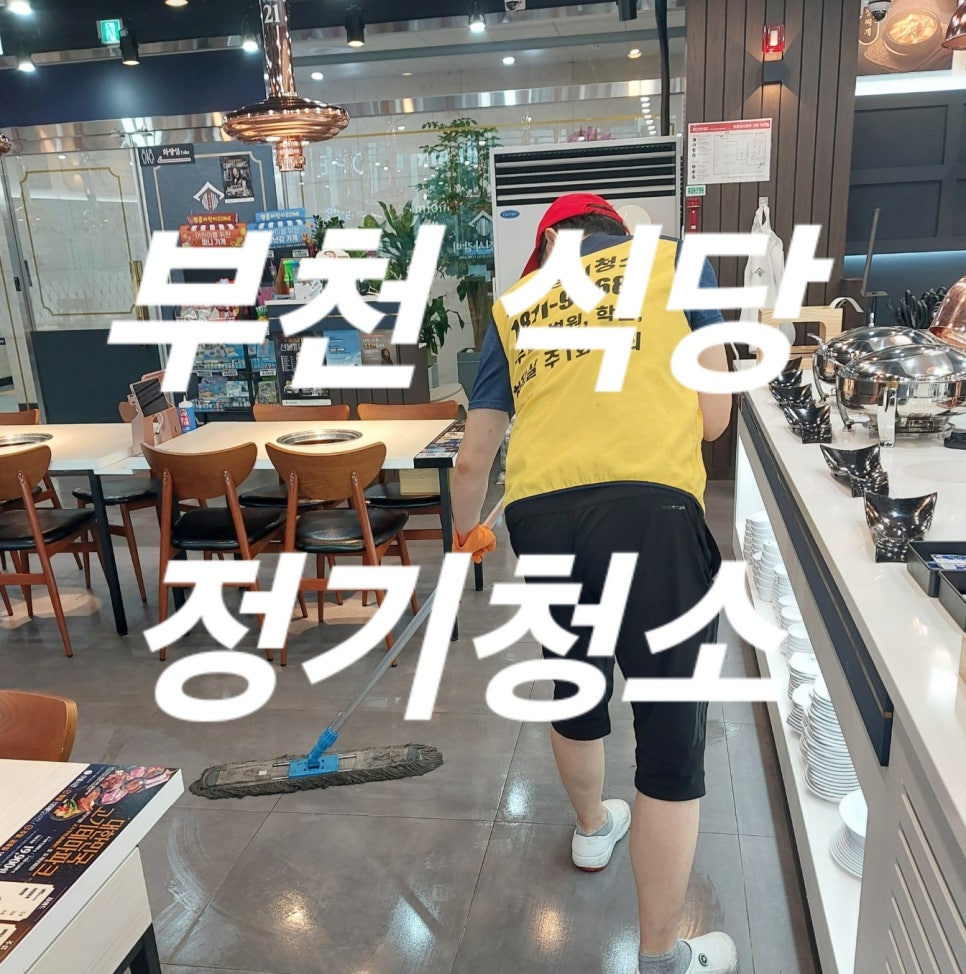돌핀크린 이미지