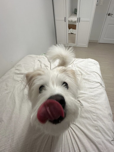 맑은 바닷가 이미지