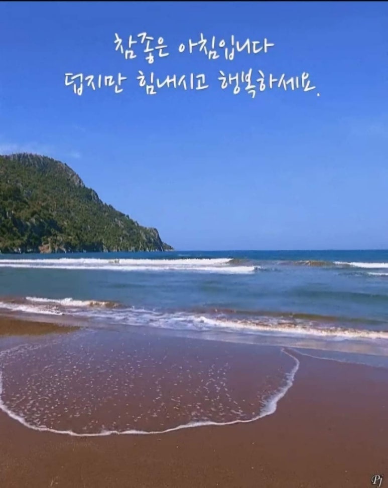 지혜 이미지