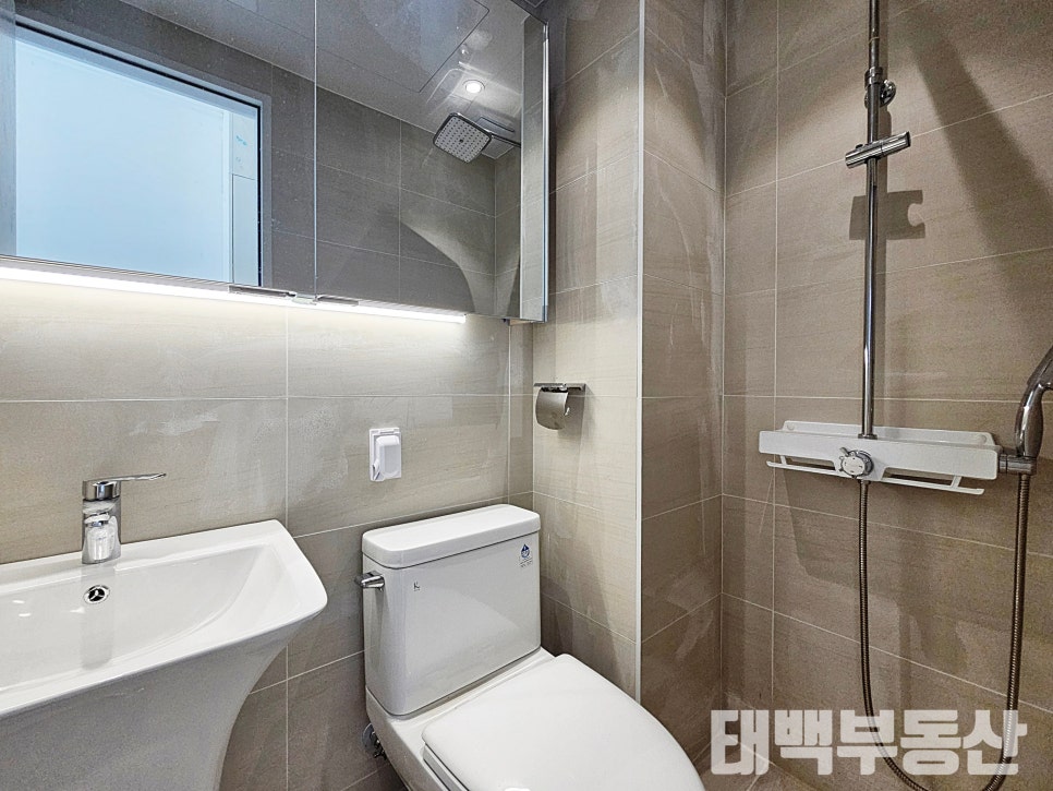 엘트 이미지