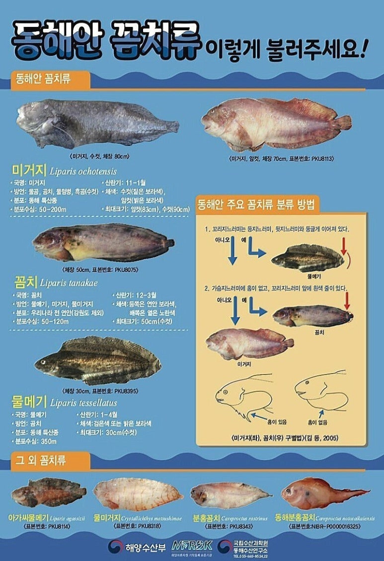 후포상회 이미지