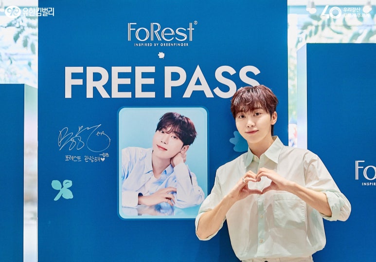 포레스트(forest) 이미지