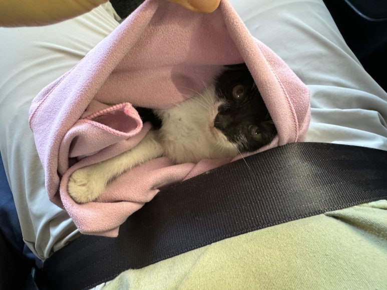 정체요가원 이미지