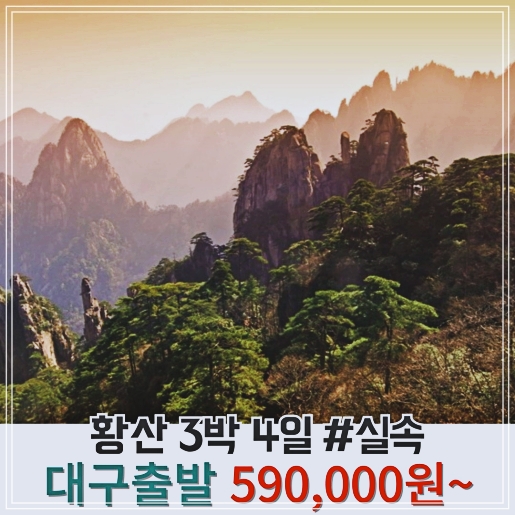 JD여행사 이미지