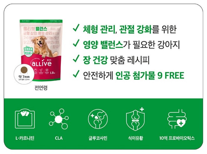 자매체형관리 이미지