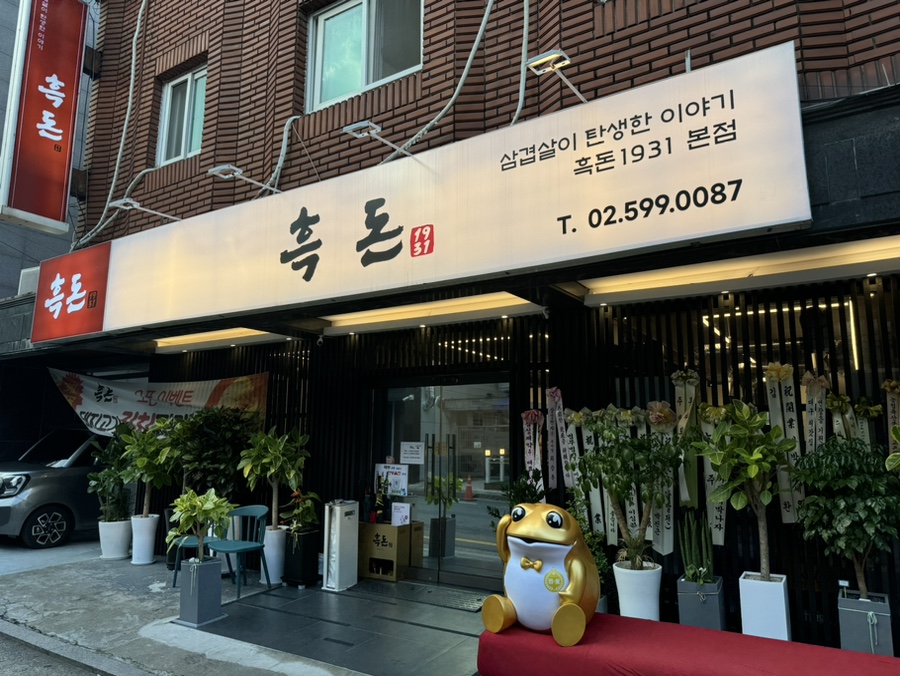 흑돈 1931 이미지